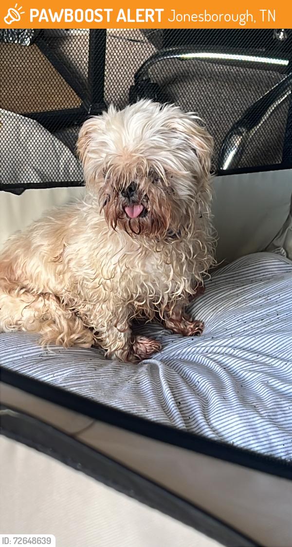 Found/Stray Male Dog last seen Stewart’s Hill, Jonesborough, TN 37659