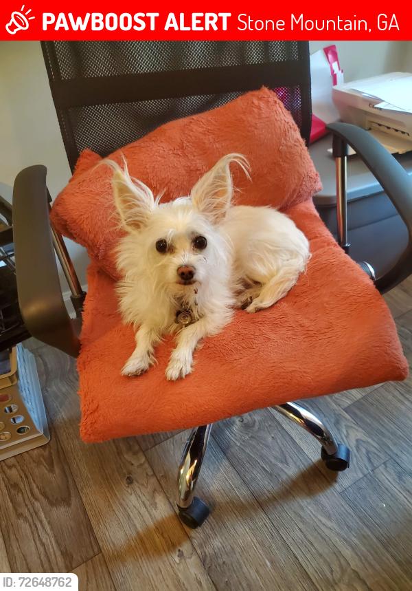 Lost Male Dog last seen Redan rd, Stone Mountain, GA 30083