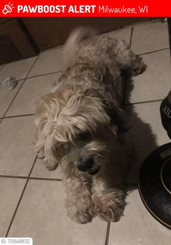 Lost Male Dog last seen Keefe , Milwaukee, WI 53212