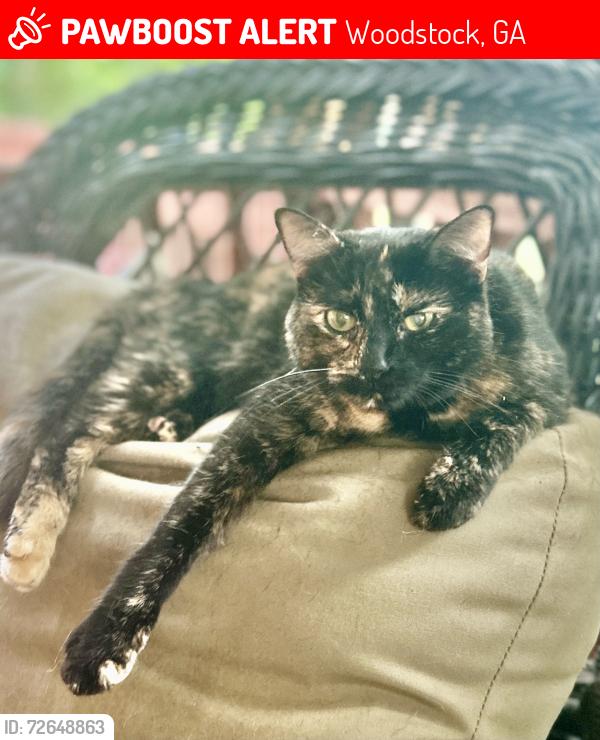 Lost Female Cat last seen Wiley Bridge Road, Woodstock, GA 30188