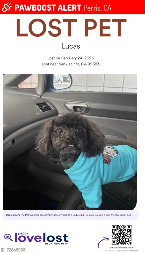 Lost Male Dog last seen Paws Park , Perris Ca, Perris, CA 92571
