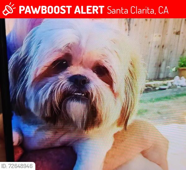 Lost Male Dog last seen Near Soledad Cyn rd Santa Clarita 91351, Santa Clarita, CA 91351
