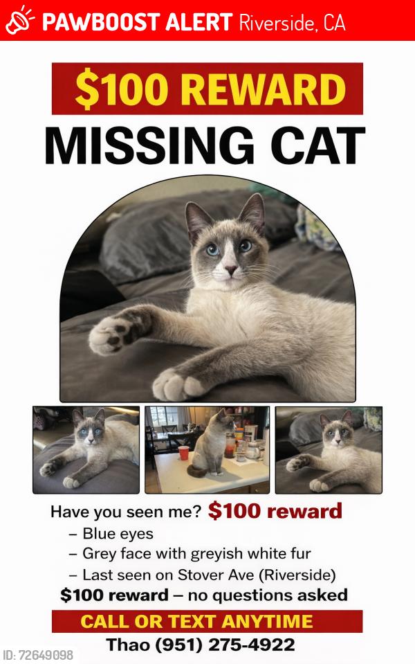 Lost Male Cat last seen Near stover and cypress ave, Riverside, CA 92505