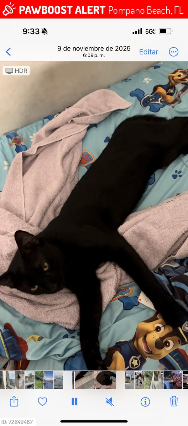 Lost Male Cat last seen Copans rd, Pompano Beach, FL 33060