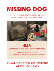 Lost Female Dog last seen Meyer ct. Hesperia , Hesperia, CA 92345