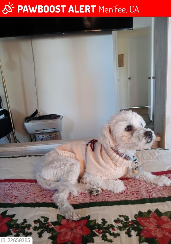 Lost Male Dog last seen Ethanac Rd, Menifee, CA 92586