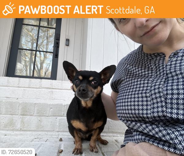 Found/Stray Female Dog last seen Kelly and 3rd , Scottdale, GA 30079