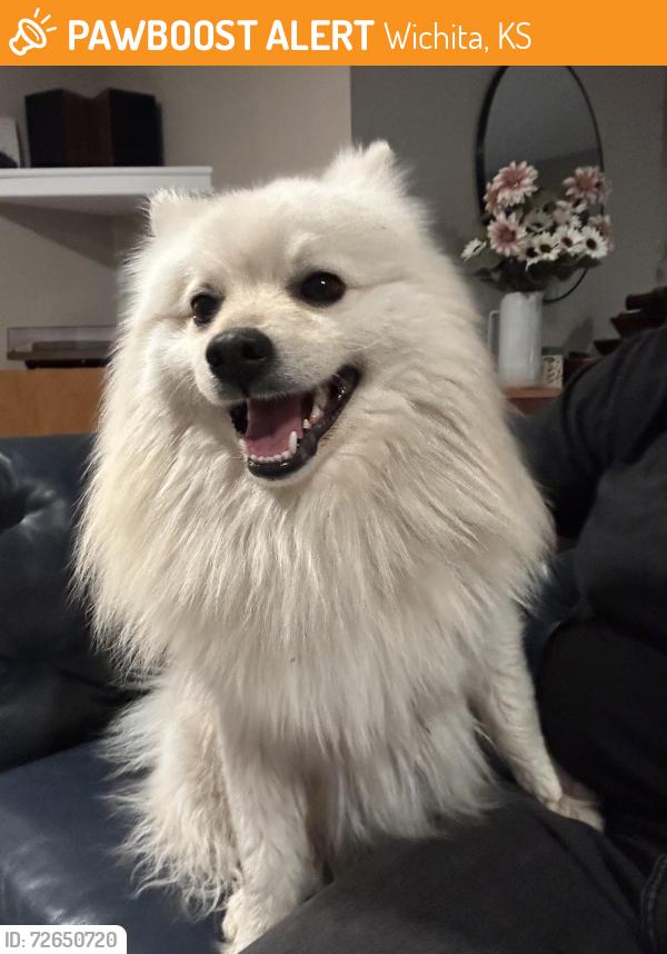 Found/Stray Unknown Dog last seen 11th & woodlawn, Wichita, KS 67208