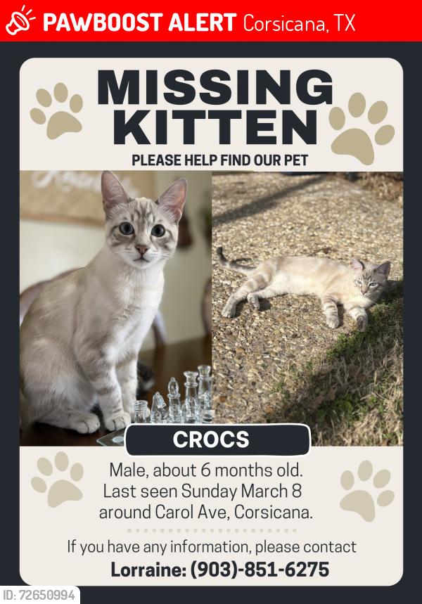 Lost Male Cat last seen Carol Ave, Corsicana, TX 75110