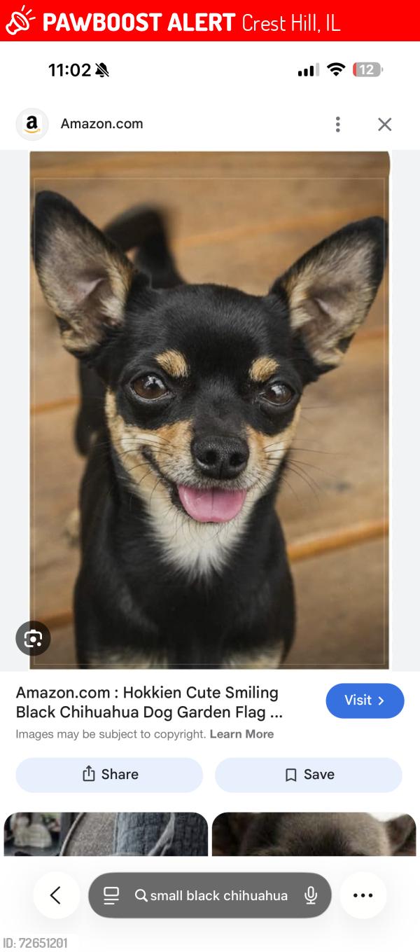 Lost Male Dog last seen Cedarwood dr , Crest Hill, IL 60435