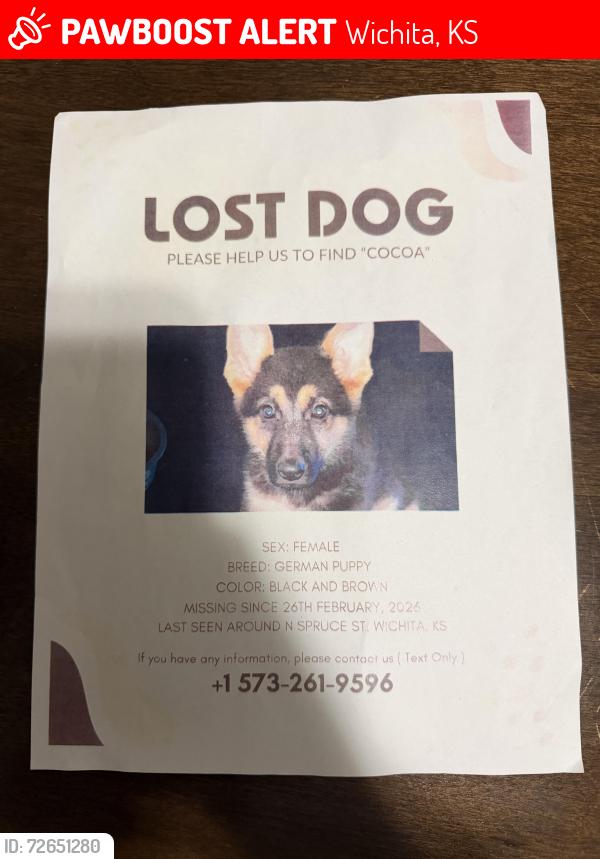 Lost Female Dog last seen Near N Spruce Ave Wichita, KS  67214, Wichita, KS 67214