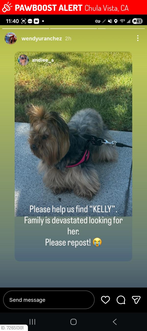 Lost Female Dog last seen Near metro ave , Chula Vista, CA 91915