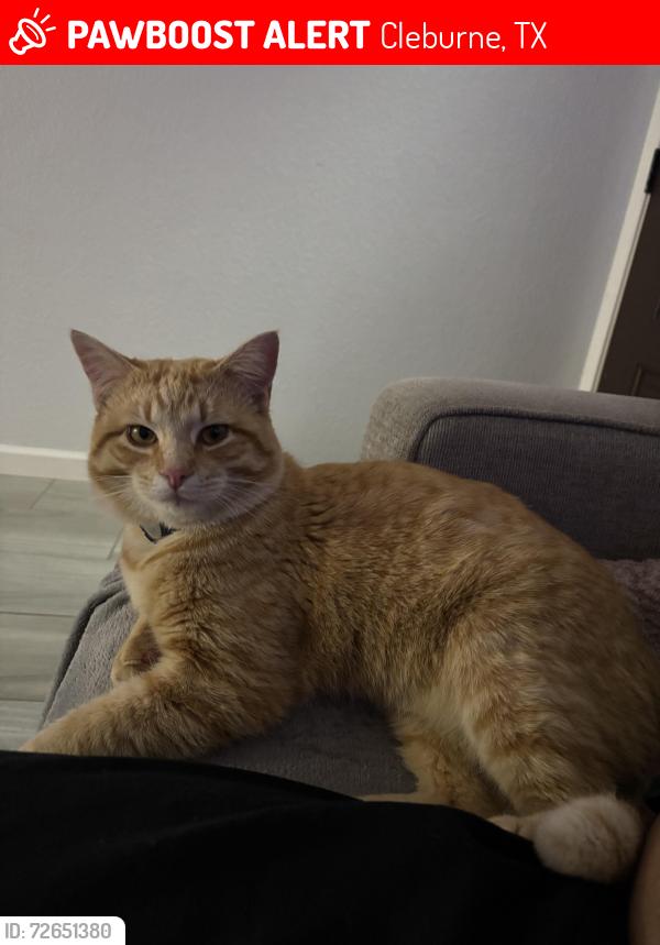 Lost Male Cat last seen Lynnwood, Cleburne, TX 76033
