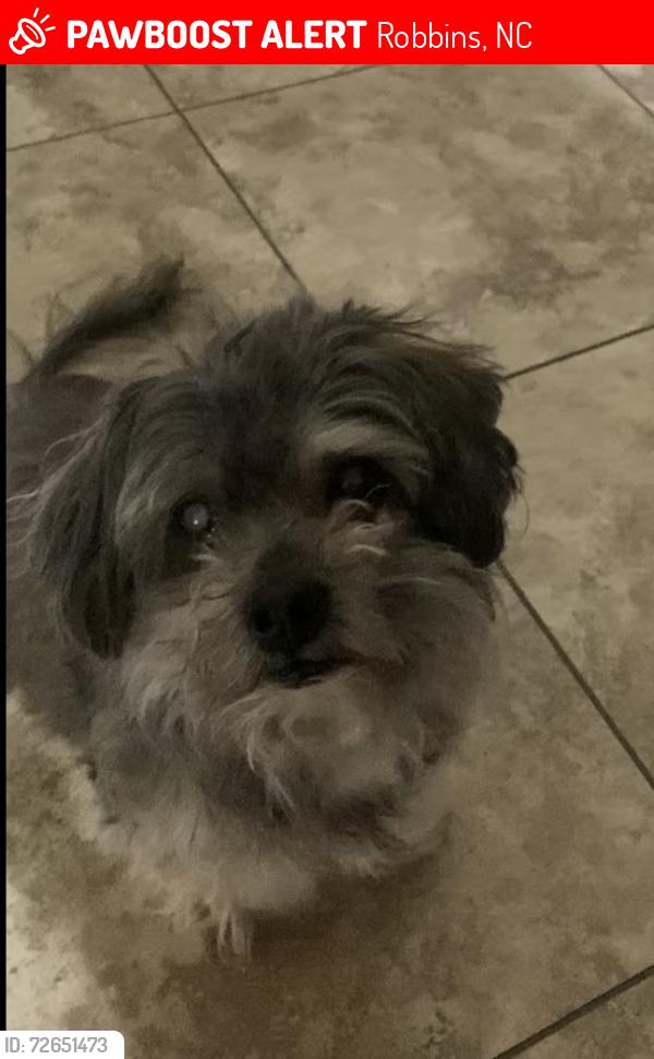 Lost Male Dog last seen Wagonwheel Rd and Jasper Rd Robbins, NC, Robbins, NC 27325
