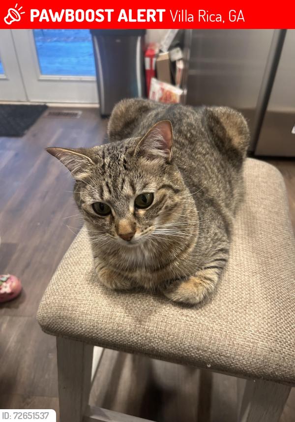 Lost Female Cat last seen North Helton rd or liberty rd, Villa Rica, GA 30180
