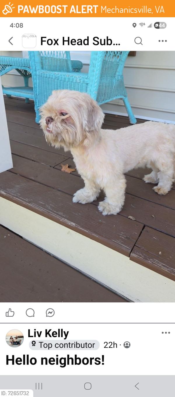 Found/Stray Male Dog last seen Great Meadows Drive, Mechanicsville, VA 23116
