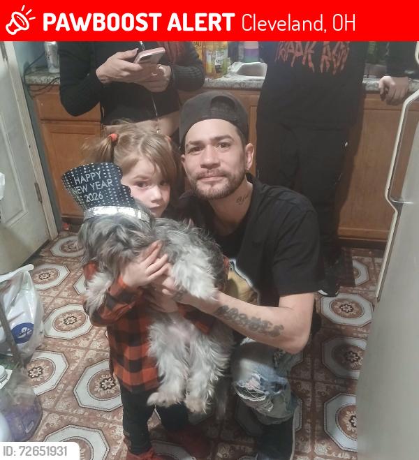 Lost Female Dog last seen Mcdonalds,puritas library,artimus ward elementary school., Cleveland, OH 44135