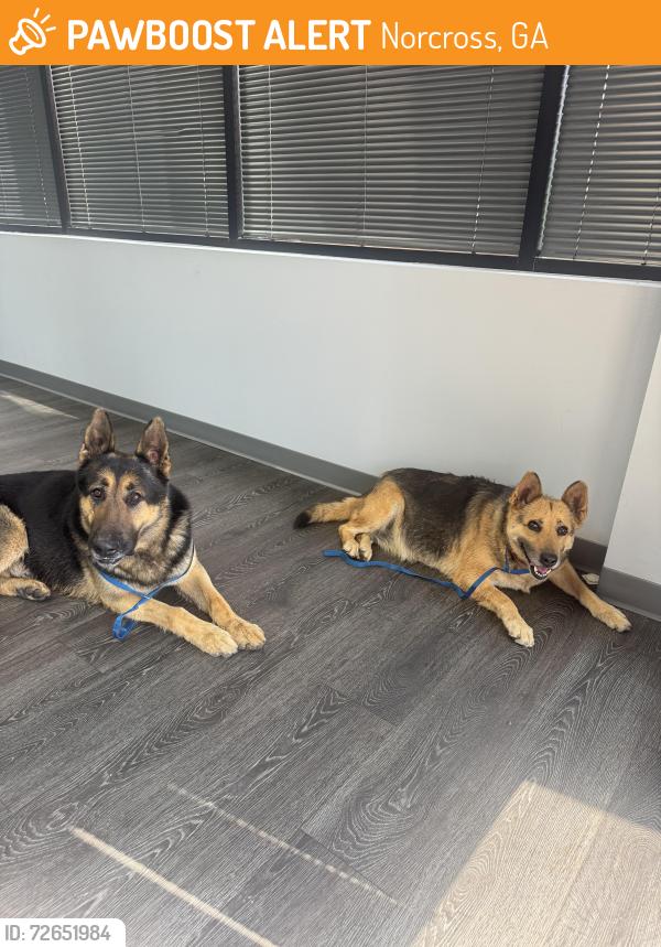 Found/Stray Male Dog last seen Steve Reynolds, Norcross, GA 30093