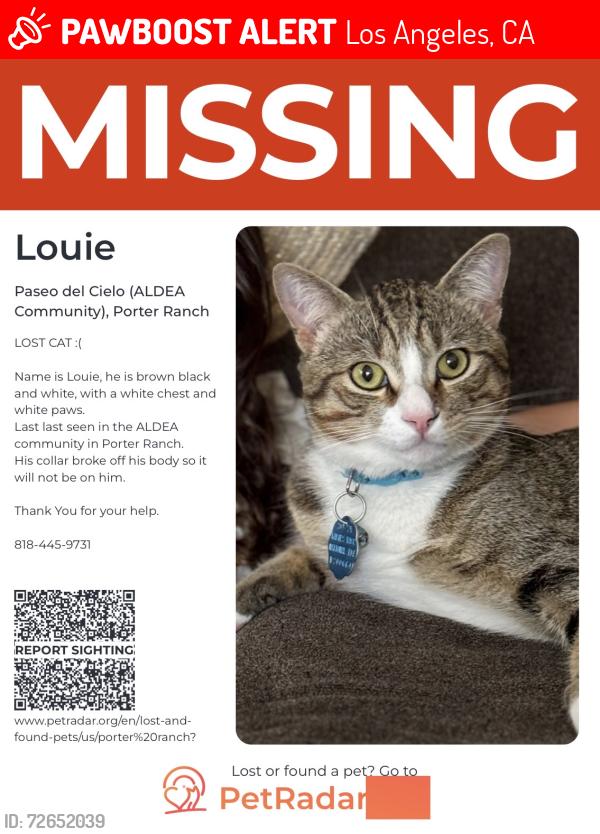 Lost Male Cat last seen Rinaldi St. and Mason Ave., Los Angeles, CA 91326