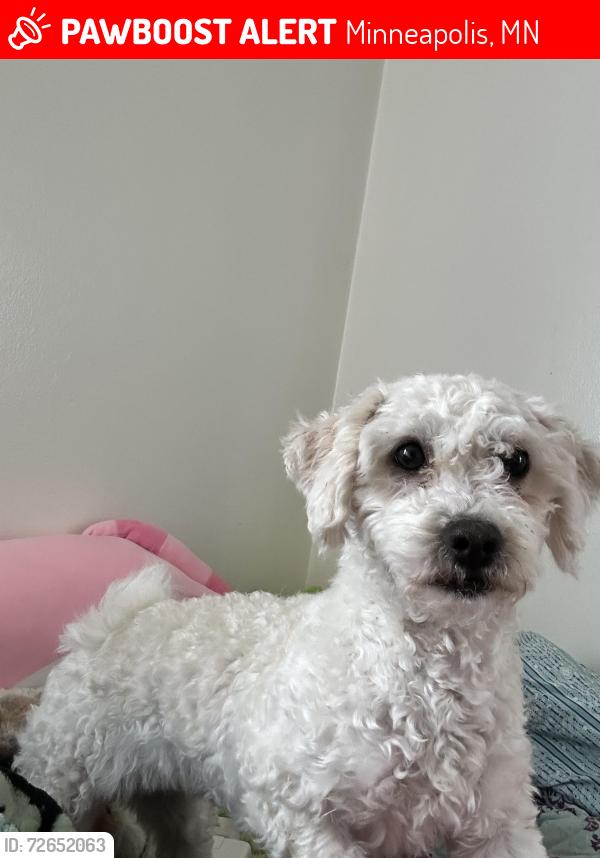 Lost Female Dog last seen Near Arthur , Minneapolis, MN 55421