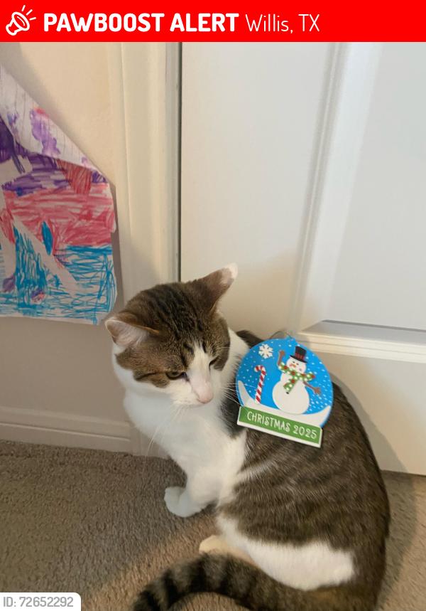 Lost Male Cat last seen Near seven pines dr, Willis, TX 77378