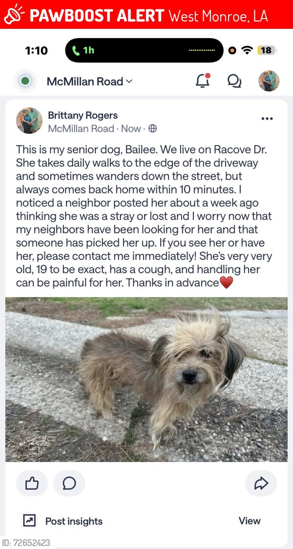 Lost Female Dog last seen Pine Circle, Hilton St, McMillian Rd , West Monroe, LA 71291