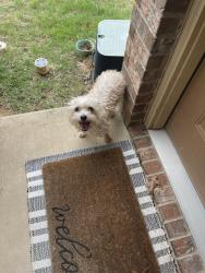 Found/Stray Unknown Dog last seen Wood River Pkwy, Sedona St, Mansfield, TX 76063