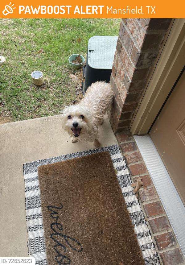 Found/Stray Unknown Dog last seen Wood River Pkwy, Sedona St, Mansfield, TX 76063