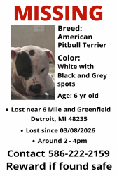Lost Male Dog last seen 6mile and greenfield , Detroit, MI 48235
