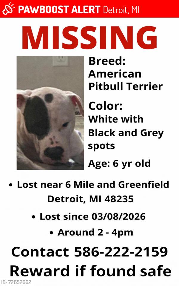 Lost Male Dog last seen 6mile and greenfield , Detroit, MI 48235