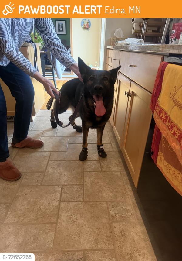 Found/Stray Unknown Dog last seen Duggan circle park, Edina, MN 55439