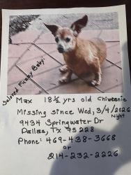 Lost Male Dog last seen Buckner and Mercer, Dallas, TX 75228