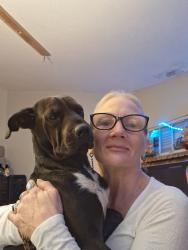 Lost Female Dog last seen Mission ave & airport, Oceanside, CA 92054