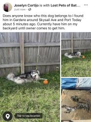 Found/Stray Male Dog last seen Port Dr, Baton Rouge, LA 70820