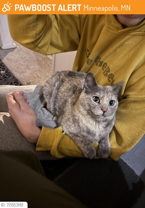 Found/Stray Female Cat last seen MCAD , Minneapolis, MN 55408