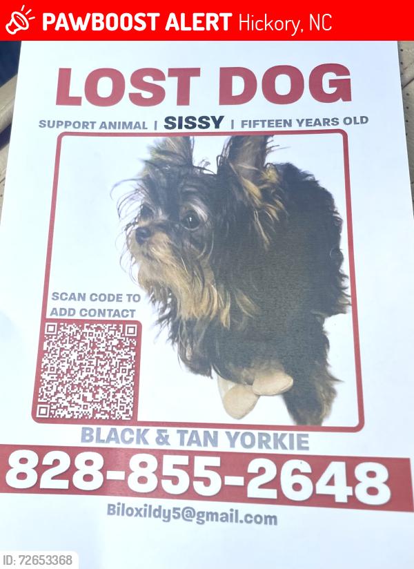 Lost Female Dog last seen 39th St NW/ Cape Hickory Rd, Hickory, NC 28637