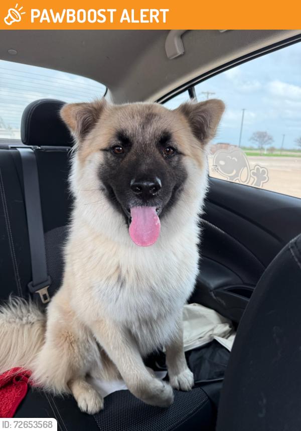 Found/Stray Male Dog last seen Near and Homeplace, Kaufman County, TX 75142