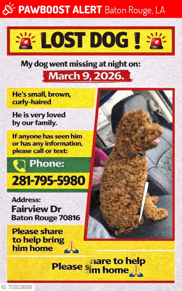 Lost Male Dog last seen Fairview dr Baton Rouge 70816, Baton Rouge, LA 70816