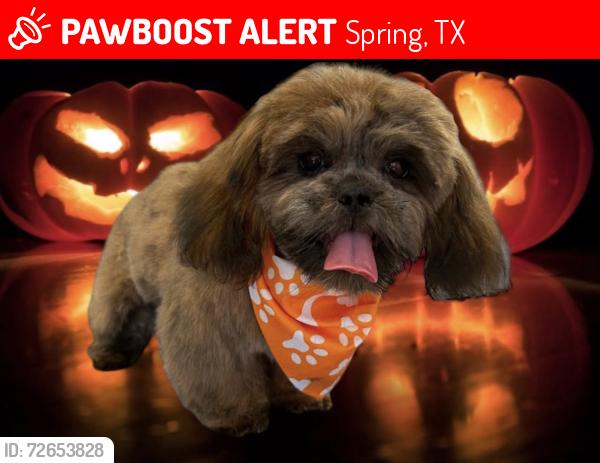 Lost Male Dog last seen Aldine Westfield , Spring, TX 77373
