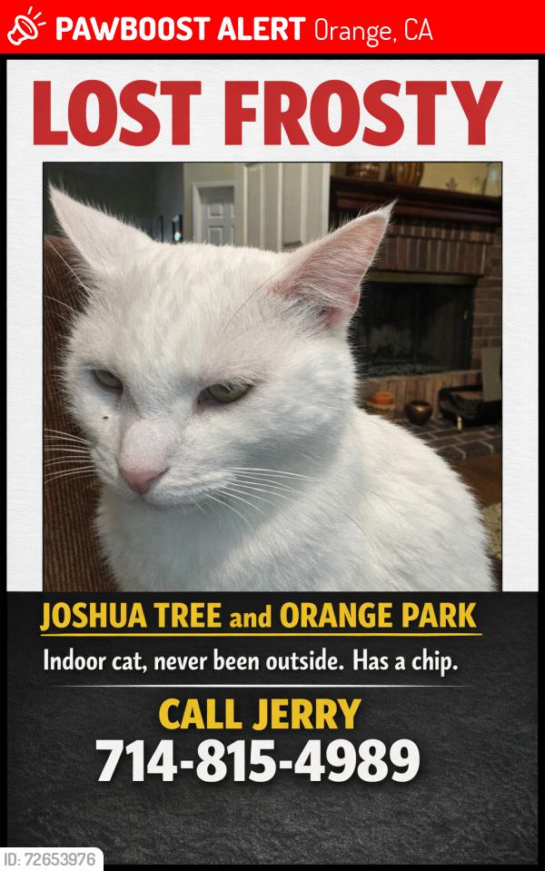 Lost Male Cat last seen Joshua Tree and Orange.Park, Orange, CA 92867