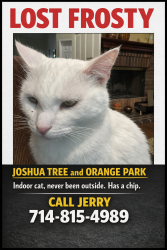 Lost Male Cat last seen Joshua Tree and Orange.Park, Orange, CA 92867