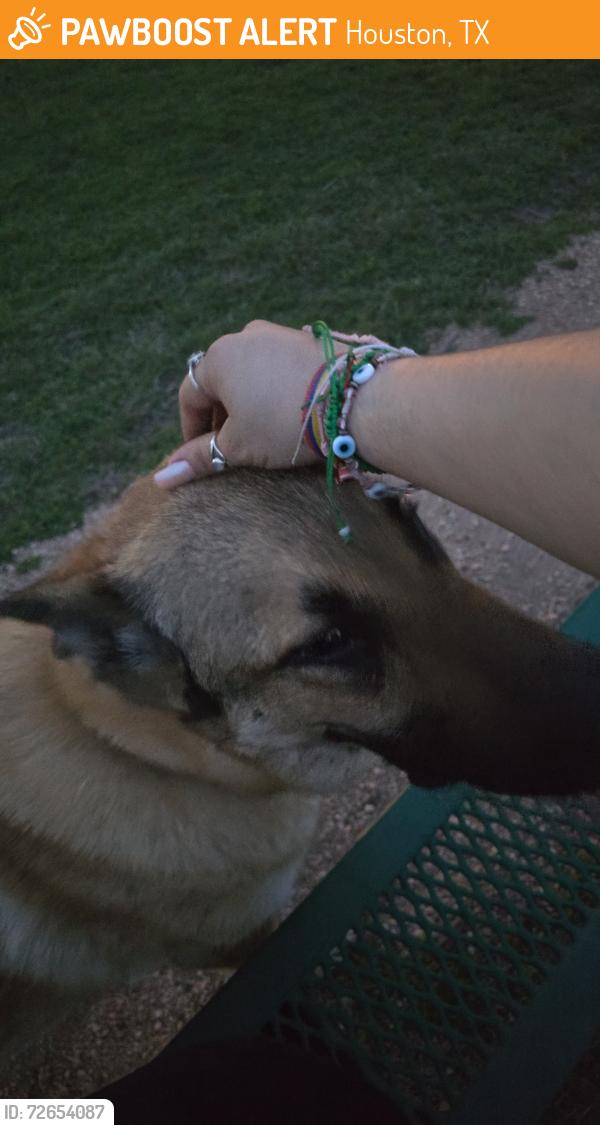Found/Stray Male Dog last seen Inside park, Houston, TX 77082