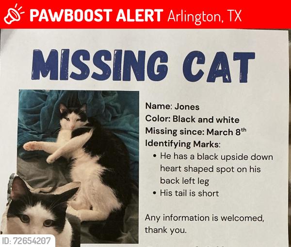 Lost Male Cat last seen Lynwood and Bowen, Arlington, TX 76013