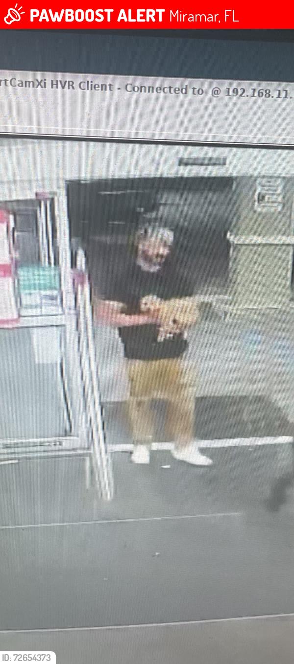 Lost Female Dog last seen Mirmar , Miramar, FL 33023