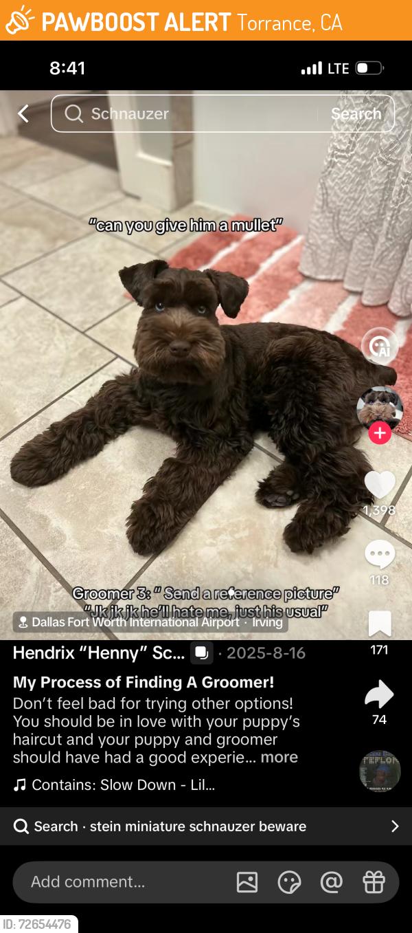 Found/Stray Female Dog last seen Torrance blvd, Torrance, CA 90503