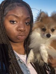 Lost Male Dog last seen Abor st , Nolan st, , Fort Worth, TX 76119