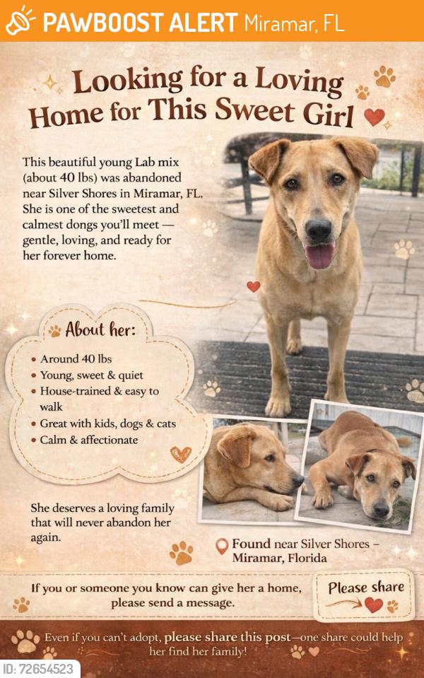 Found/Stray Female Dog last seen Silver Shores, Dykes Rd and Pembroke Rd, Miramar, FL 33027