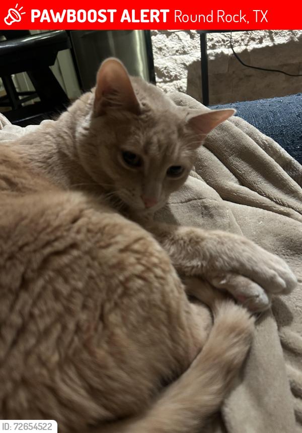 Lost Female Cat last seen Old Settlers Blvd, Round Rock, TX 78665