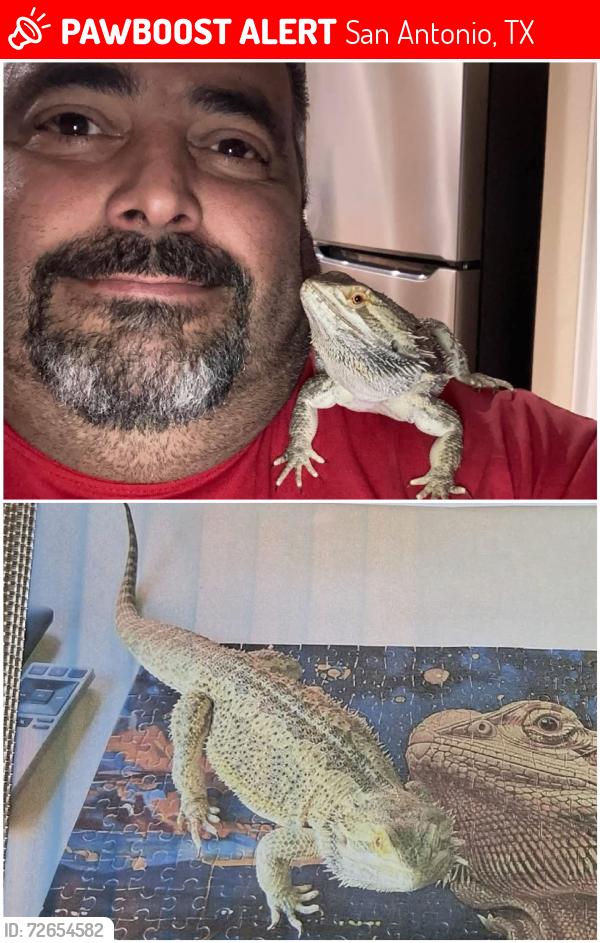 Lost Male Reptile last seen E Southcross & S Flores St, San Antonio, TX 78214
