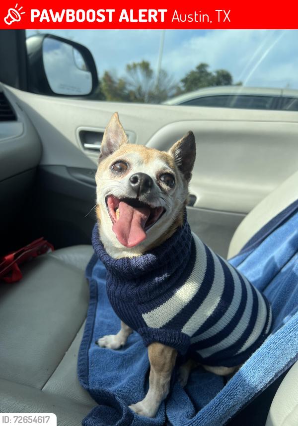 Lost Female Dog last seen Área del Valle Austin detrás del aeropuerto , Austin, TX 78719